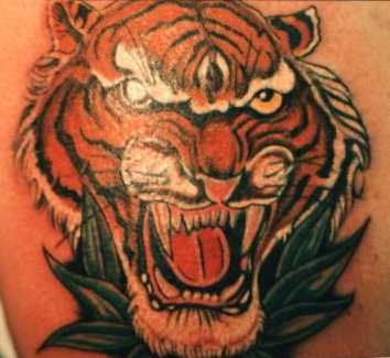 tiger.jpg